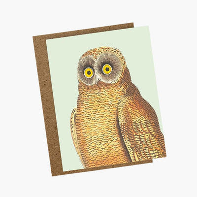 Tarjeta de felicitación Owl de 30x40 con diseño de búho colorido en papel ecológico, tamaño A6.